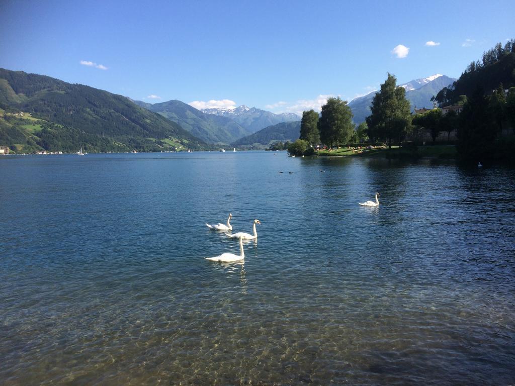 Penthouse Sonnberg Lejlighed Zell am See Eksteriør billede